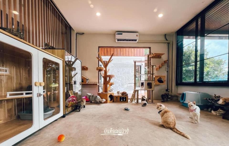 Ferienwohnung Amaze At Themyth Mae Rim Exterior foto